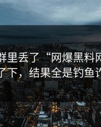 有人在群里丢了“网爆黑料网”，我顺手查了下，结果全是钓鱼诈骗套路