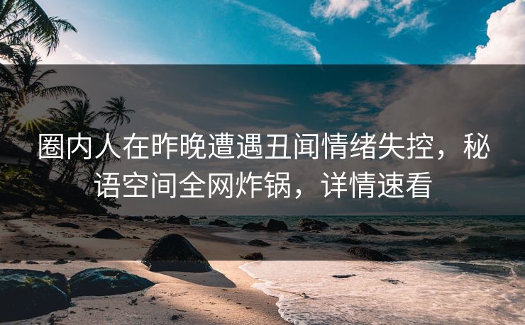 圈内人在昨晚遭遇丑闻情绪失控，秘语空间全网炸锅，详情速看