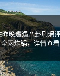 圈内人在昨晚遭遇八卦刷爆评论，17c全网炸锅，详情查看
