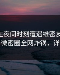 神秘人在夜间时刻遭遇维密友电脑版 震惊，微密圈全网炸锅，详情发现