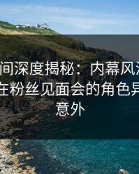 秘语空间深度揭秘：内幕风波背后，神秘人在粉丝见面会的角色异常令人意外