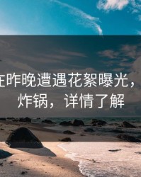 圈内人在昨晚遭遇花絮曝光，17c全网炸锅，详情了解