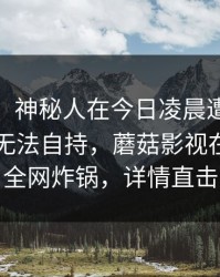 【独家】神秘人在今日凌晨遭遇mogushipin 无法自持，蘑菇影视在线观看全网炸锅，详情直击