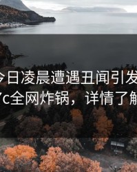 明星在今日凌晨遭遇丑闻引发联想，17c全网炸锅，详情了解
